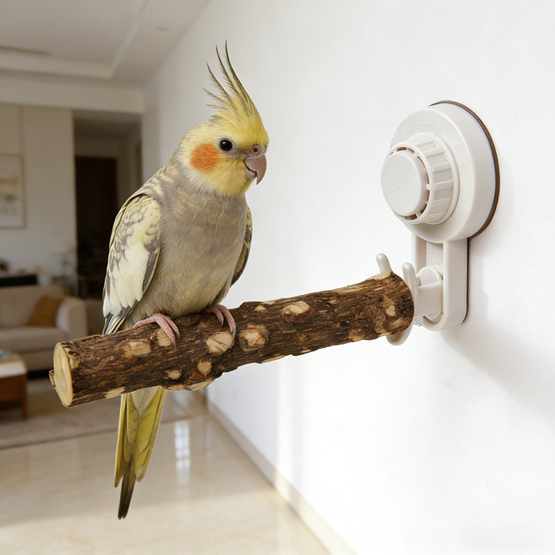 Tempat Tidur Burung Beo dengan - Woodworking Joints ulasan dan harga